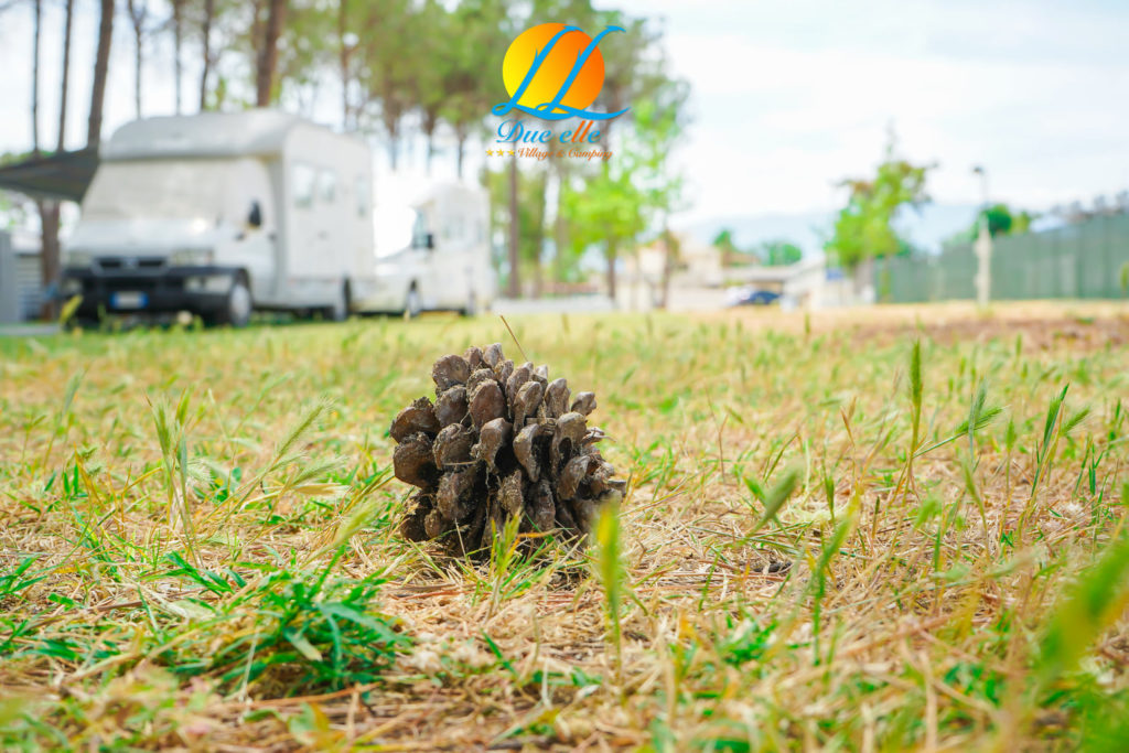 Il camping